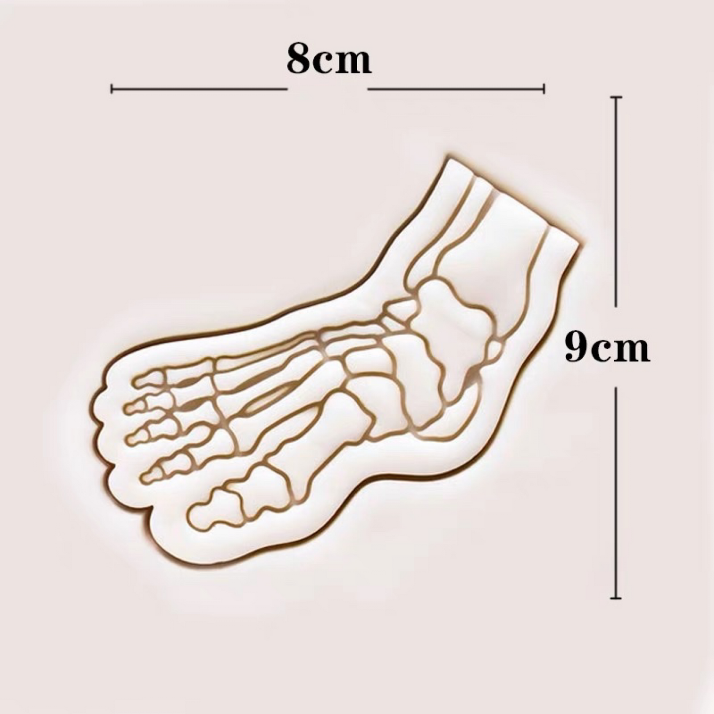 Foot