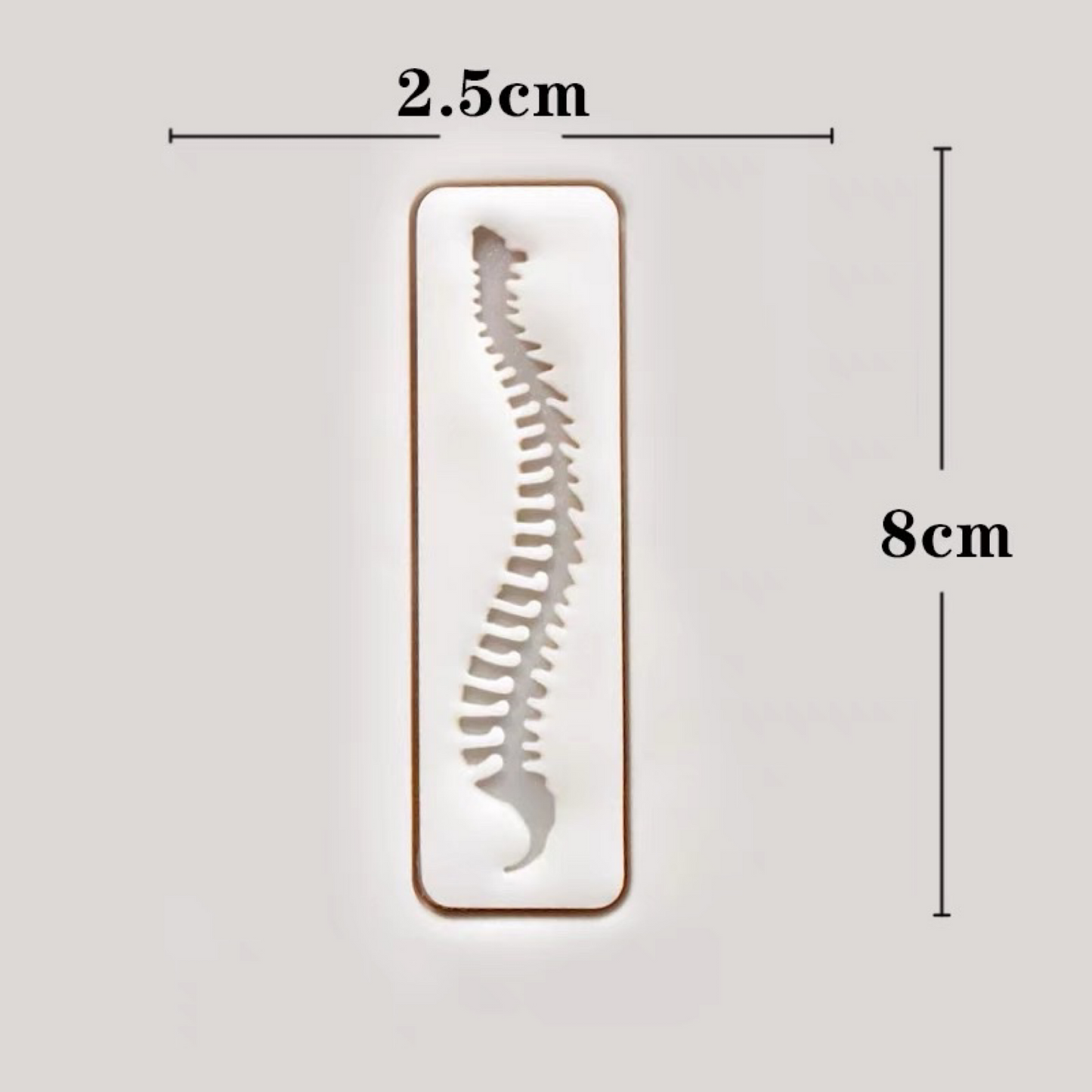 Spine